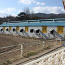 통도승마랜드 이미지