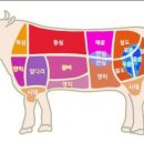 리버벨리 이미지