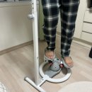 플러스무역 | 원동무역 보새 360 트위스트 스텝퍼 홈트 후기, 집에서 간편하게 다리 운동