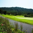 뉴스프링빌2 이미지