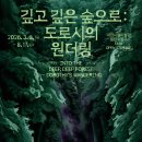 도로시의숲 | 깊고 깊은 숲으로 도로시의 원더링 후기 대전시립미술관 열린수장고 대전 무료 전시 추천