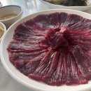 참조은 고기 티스토리