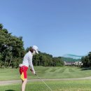 파리게이츠고양 이미지