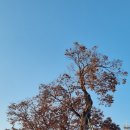 관아공원 이미지