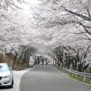 노량 해안도로길 이미지