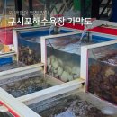 가막도횟집 | 구시포 칼국수 백합이 푸짐한 가막도 횟집 내돈내산