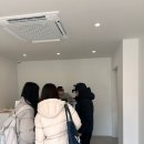 강릉 두부푸딩 두딩 내돈내산 후기