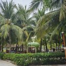 코끼리 게임장 | [푸꾸옥 여행][빈원더스] 우와.. 엄청 크잖아? [빈원더스 워터파크]