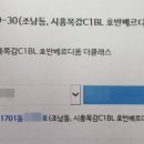 네일팰리스학원 이미지