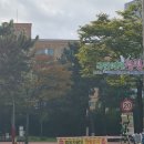 초이스모텔 | 속초 모어댄속초를 통한 르 콜렉티브 레지던스호텔 숙박과 항아리 물회 맛있는 저녁식사 후기