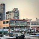 11545-11-88-10 | 속초 맛집 88생선구이 솔직후기 주차 꿀팁까지