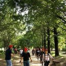 노르딕워킹 이미지