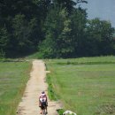 낙동강변13 이미지