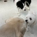 멍스 스쿨 이미지