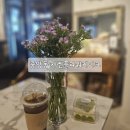 중앙동149 이미지