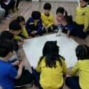 원일유치원 이미지