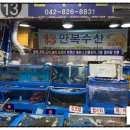 노은수산물시장 맛집 횟집 만복수산 13호 통오징어 후기