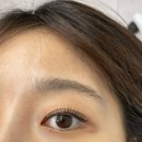 페트로동물의료원 | 장안동 답십리 속눈썹펌 자연스럽게 잘하는 곳 브로우엔비