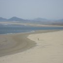 몰운대 시비 이미지