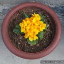 가온누리재가복지센터 이미지