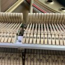 빛나리 | 광주피아노조율-빛나리교회 후기