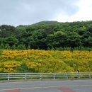 외양포공영주차장 이미지