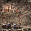 문금 농장 이미지