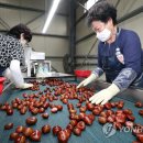 동충주농협 소태지점 이미지