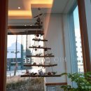 하이오커피파주운정 초롱꽃마을점 이미지