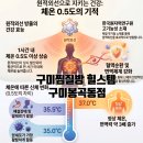 힐스템구미