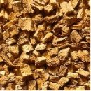 약용식물관리사 이미지