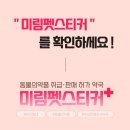 태평약국 이미지