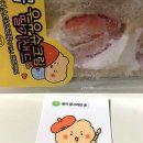 샌드곰