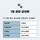 견우재 | [강아지케이크/견우재] 마실이7번째생일파티케이크 견우재 강아지수제케이크 내돈내산솔직후기