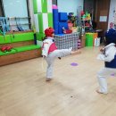 우일태권도 이미지