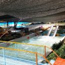 까치골식당 이미지