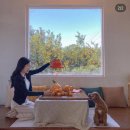 청춘부부 제주 서쪽 베이커리 & 미니 브런치 카페 <b>청춘</b><b>부부</b>! (반려견 동반도 가능)