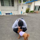 먹촌식당 | 포천 곰터먹촌 김치말이국수 후기 -새콤달콤 시원한 해장 [250505]