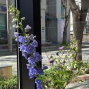 라모크커피공장군산점 | 군산 조촌동 :: 라모크커피공장 군산점