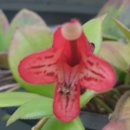 해운대가족의원 이미지