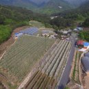 학송농장 이미지