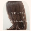 대치2-107 이미지