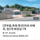 도리민박 이미지