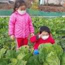 고골농장 이미지