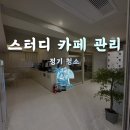 정기청소 - 의정부시 천보로553번길 12 | 정기청소