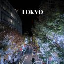 보도중로2-17 | 도쿄 날씨 예보｜도쿄타워 롯폰기·미드타운 일루미네이션 실시간 후기