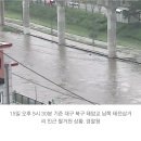 대구 팔거천서 자전거 타던 남성 물에 빠져 실종 "수색중" 이미지