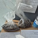 경주시농업기술센터 | 성공 농사의 시작! 경주시 농업기술센터 토양검정으로 우리 집 흙 분석하기