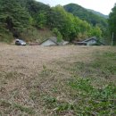 새말약국 이미지