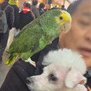 서문빵집 | 서문시장 줄 서는 빵집 대왕 카스테라 후기 (내돈내산!)